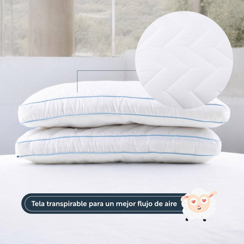 Almohada Memory 2 Pzas Estándar Hipoalergénicas ColordreamsDREAMSDUOMIXQ