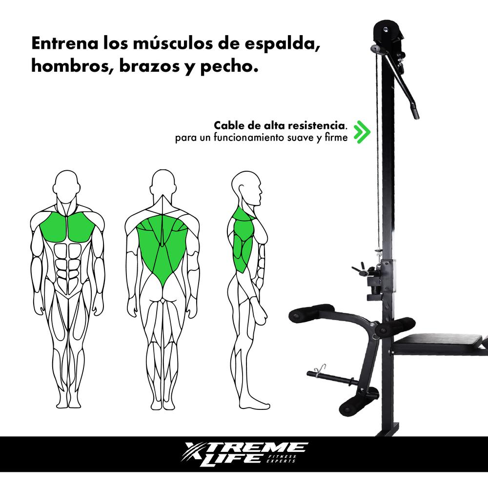 Polea Alta Banco Multiposiciones Ejercicio Entrenamiento Gym