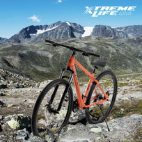 Bicicleta Montaña Mountain Bike Ruta Rodada 29 Freno Disco AceroSKYMTNBIKEB