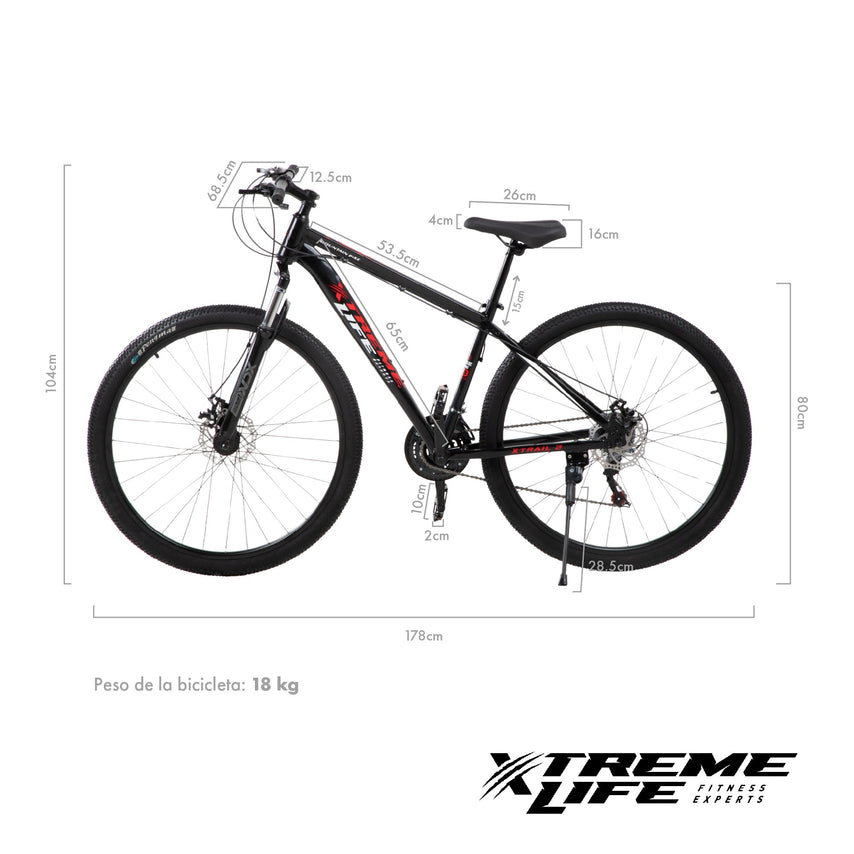 Bicicleta Montaña Mountain Bike Ruta Rodada 29 Freno Disco AceroSKYMTNBIKEB