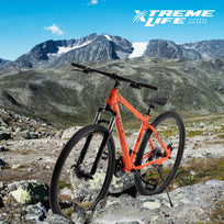 Bicicleta Montaña Mountain Bike Ruta Rodada 29 Freno Disco AceroSKYMTNBIKEB