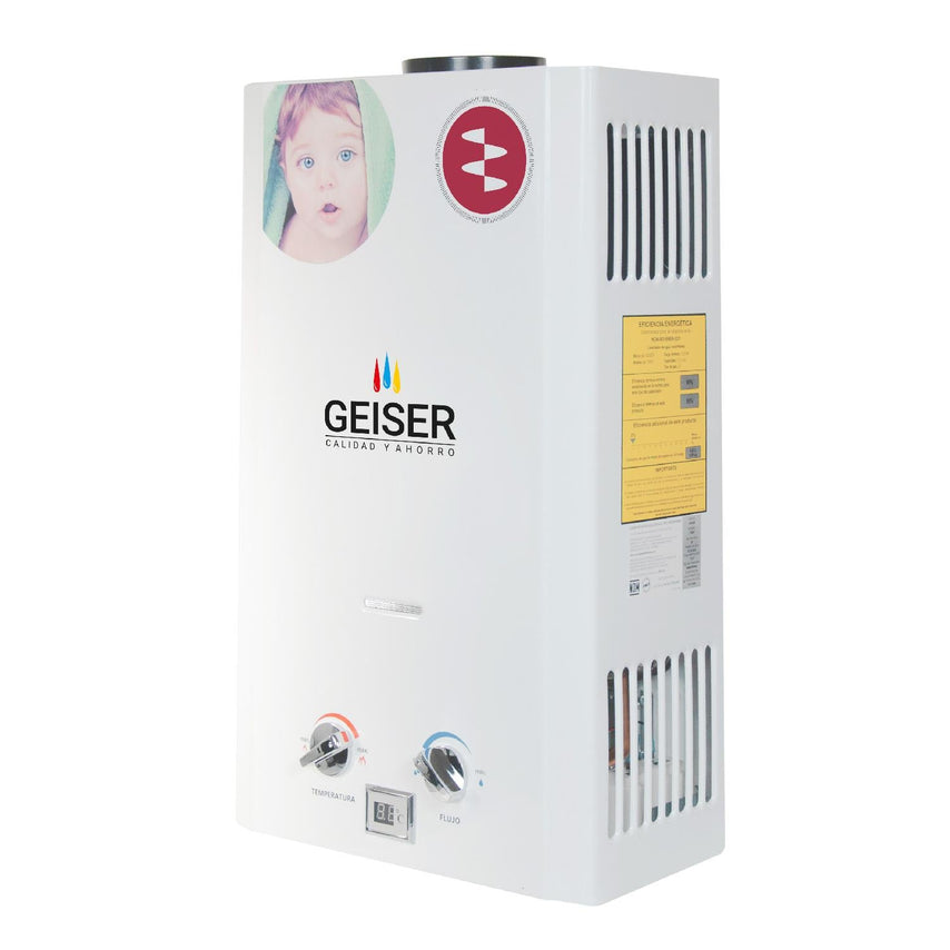 Calentador De Agua Instantáneo Geiser Gas 10 Litros / min700LP-ENER