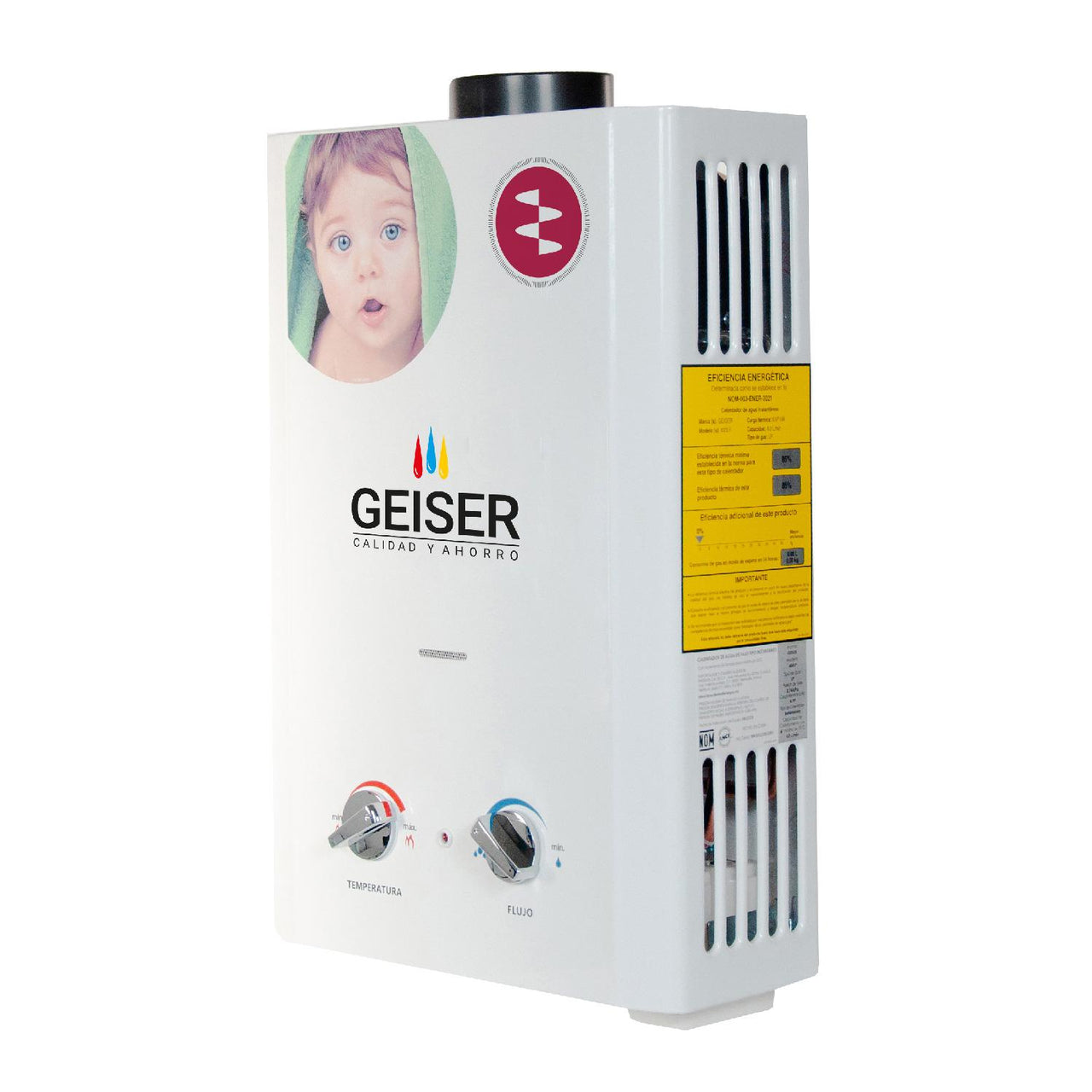 Calentador De Agua Instantaneo Geiser Gas 6 L/min