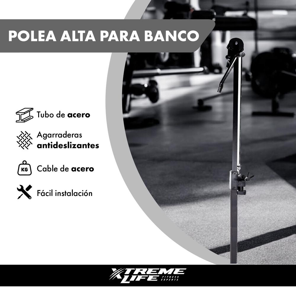 Polea Alta Banco Multiposiciones Ejercicio Entrenamiento Gym