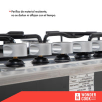 Parrilla Gas Aluminio 5 Quemadores Hierro 127v EmpotrableHJPGGH220000